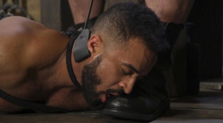 hjemmelavet arabisk homoseksuel sex eksklusivt flot billeder