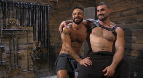 xxx homoseksuelle tvillinger kunst bedst Foto