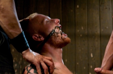homoseksuelle tvungne blowjobs erotisk kunst billede