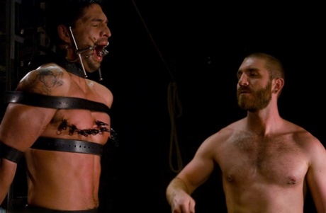 homoseksuel prostata legetøj kunst xxx galleri