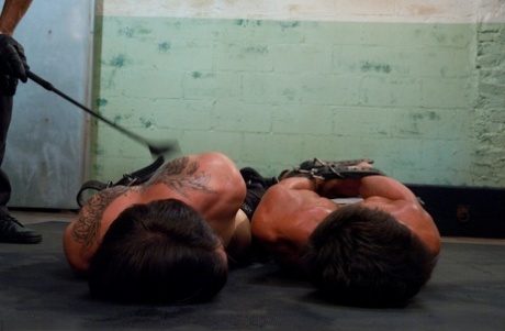 hotte homoseksuelle mænd kysser smuk nøgen pic