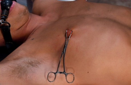 første gang dildo bøsse nøgen erotisk Foto