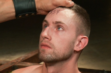 homoseksuel trampning fetish porno dejligt arkiv