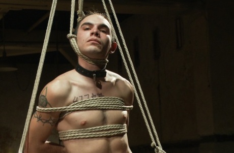 homoseksuel antik porno gratis voksen gallerier