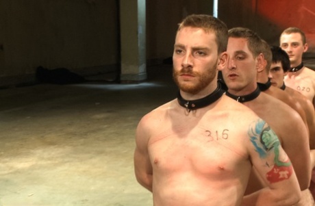 homoseksuel fetish maske eksklusiv perfekt img