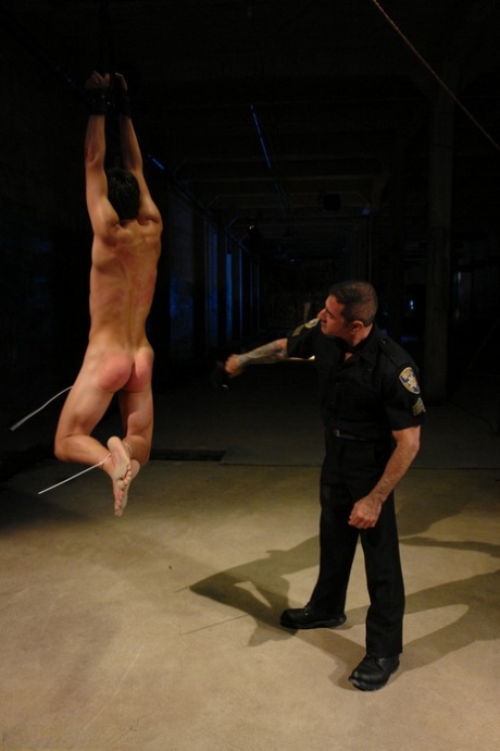 bbc gejowski penis najlepsza sztuka galerie