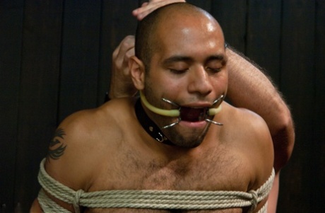 hot homoseksuel porno hardcore voksen erotisk fotos