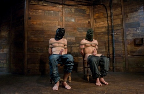 homoseksuel bdsm amatør voksen høj kvalitet galleri