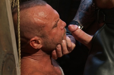 homoseksuel sovende spionkamera xxx top billede