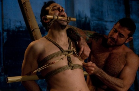 homoseksuel interracial elskov hd kunst img