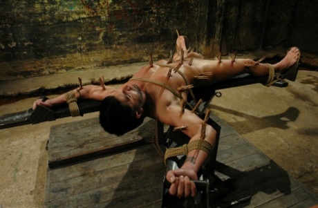 behåret homoseksuel hardcore gratis perfekt galleri
