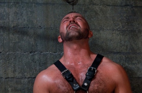 gratis homoseksuel hardcore sexet gratis kollektion