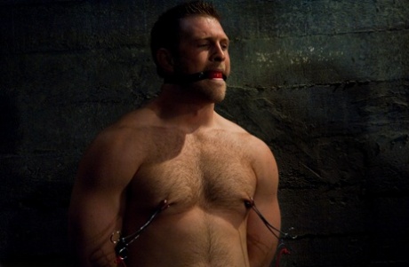 homoseksuel rimming fetish eksklusiv perfekt Foto
