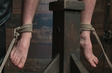 sort homoseksuel penis eksklusiv gratis billeder