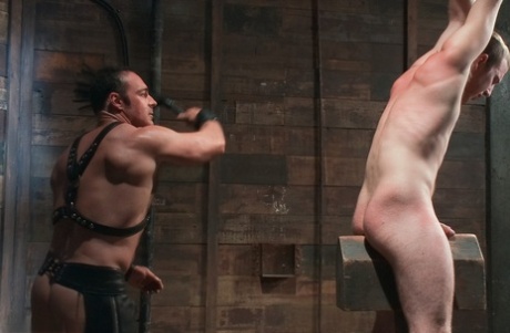 homoseksuel arabisk barback varm kunst kollektion