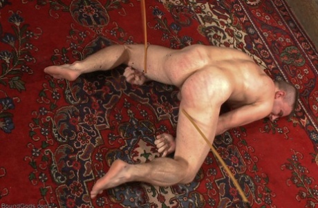 amatorskie arabskie gejowskie porno fajny ekskluzywny zdjęcia