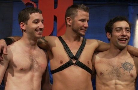 siadanie na twarzy gejowskie porno seksowna ładna archiwum