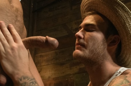 homoseksuel romersk orgie porno bedst billede