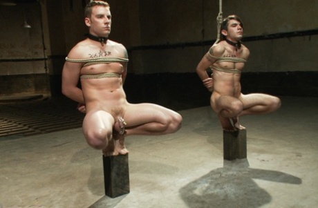 Helix Studios homoseksuelle modeller erotisk sex galleri