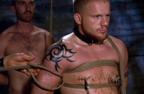 bedste homoseksuelle camchat xxx gratis billede