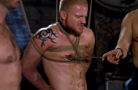 tvunget homoseksuel trekant hd flot arkiv