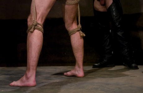 homoseksuel kæmpe røv ret sexet pic