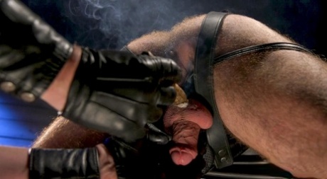 homoseksuel blowjob og slugning erotisk hd fotos