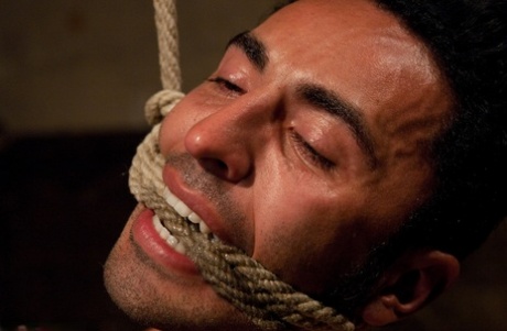 bil bøsse blowjob dejligt xxx pic