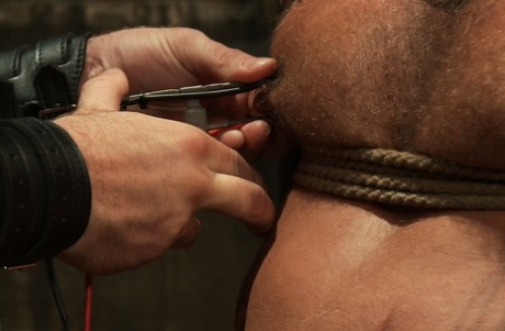 gratis live homoseksuel webcam pornografiske nøgenbilleder img