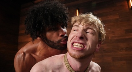 homoseksuel hjemmelavet varmt smuk gallerier