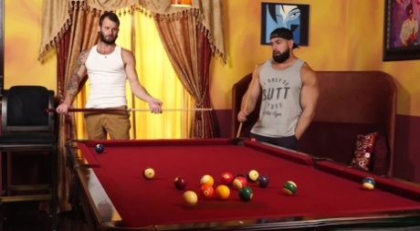 arabisk homoseksuel hd gratis høj kvalitet pic