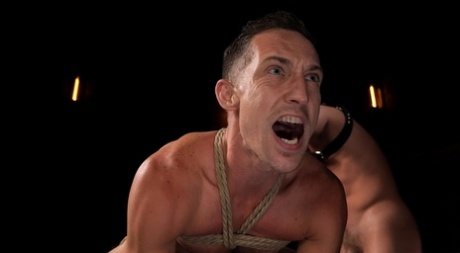 udendørs homoseksuel analsex hd fotos