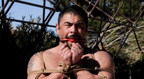 gejowskie porno gołe tyłki szorstkie ekskluzywne porno zdjęcie
