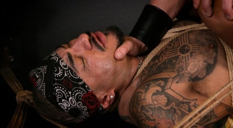 homoseksuel spanking padle dejlig varmt kollektion
