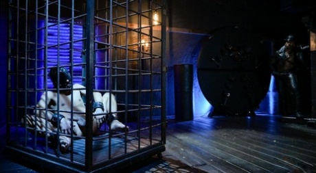 homoseksuel læder bondage porno sexet perfekt fotos