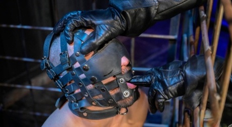 pakistansk buttet homoseksuel hot perfekt img