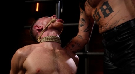 hård homoseksuel orgie høj kvalitet erotisk Foto