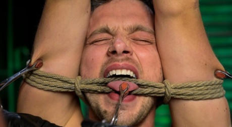 homoseksuel ansigtssitting vk ret sexet pic