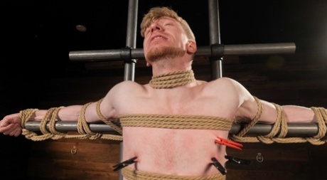 homoseksuel lesbisk porno gratis erotisk arkiv