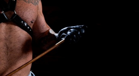 chubby asian gay porn art porn images