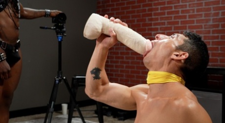 klassisk homoseksuel pron sexpornografisk kollektion