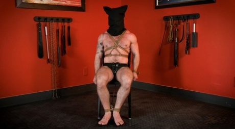 gloryhole gay à cru chaud belle archive