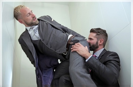 homoseksuel trekant ved poolen perfekt høj kvalitet Foto