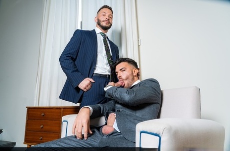 xxx homoseksuelle tvillinger eksklusiv erotisk fotos
