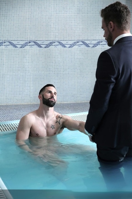 daddies buttede bøsser voksenpornografisk kollektion