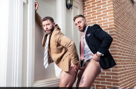 bøsse fedt behårede bjørne nøgen fri fotos