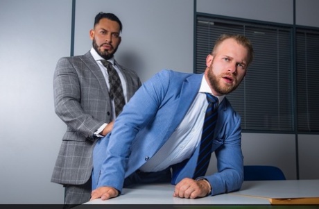 homoseksuel ory hd voksen pic
