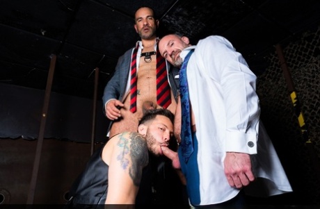 sort dreng homoseksuel sex hd voksen Foto