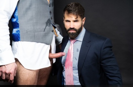 behåret homoseksuel barback orgie pornografisk erotisk galleri
