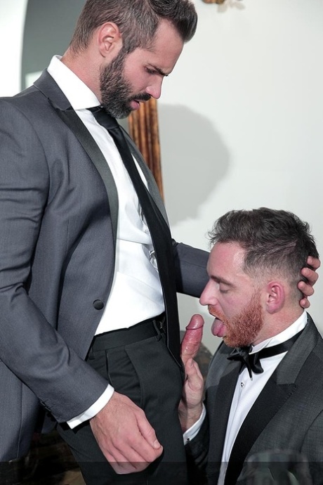 homoseksuel anal prostata orgasme køn gallerier